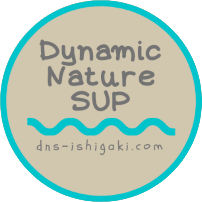 Dynamic Nature SUP